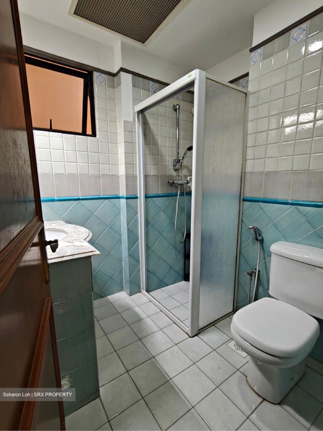Dover Parkview (D5), Condominium #594597351